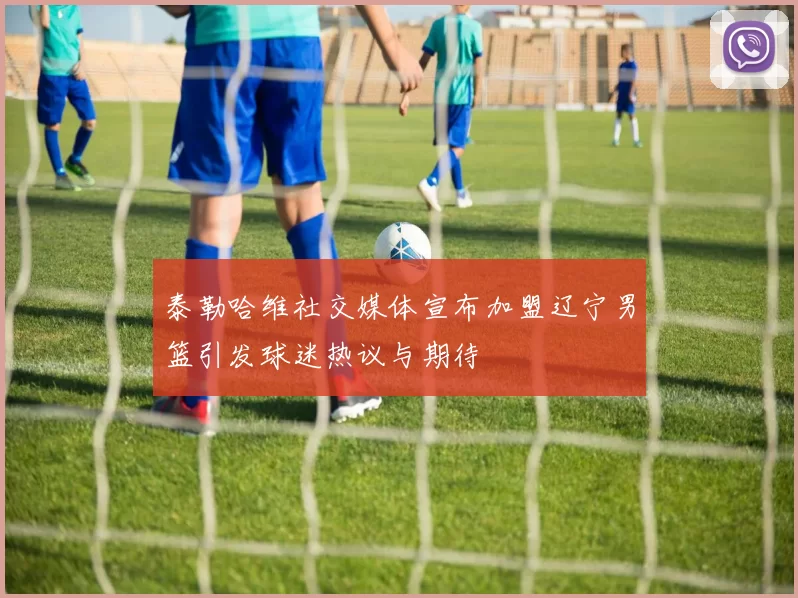 泰勒哈维社交媒体宣布加盟辽宁男篮引发球迷热议与期待