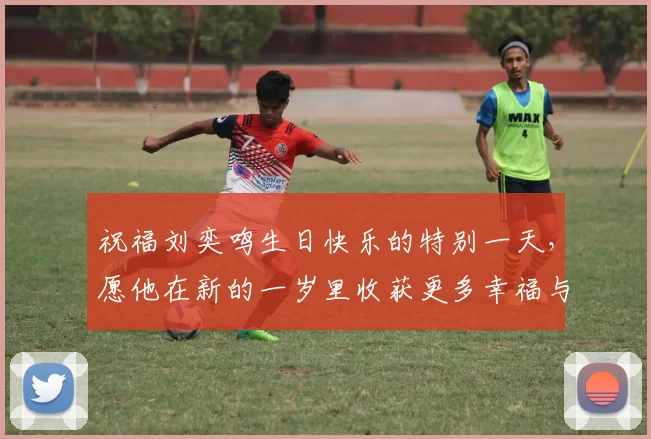 祝福刘奕鸣生日快乐的特别一天，愿他在新的一岁里收获更多幸福与成功